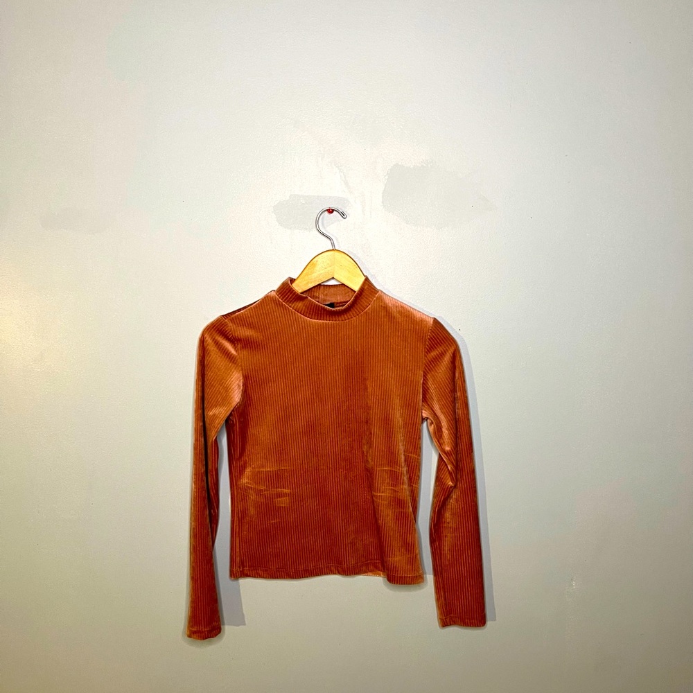 A previously loved velvet turtle neck from Forever 21.